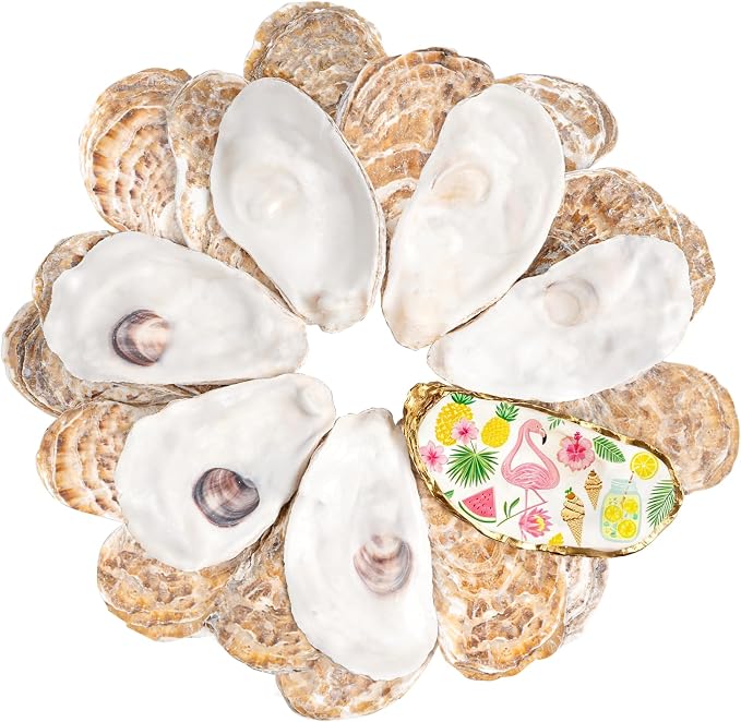 30Pcs Large Flat Oyster Shells for Crafts, 4-5 Inch Cleaned Natural Oyster by LAMIVORA