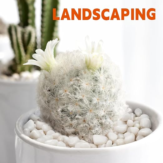 5 lb Natural Polished White Pebbles, 1/2 Inch Decorative White Rocks - Image 5