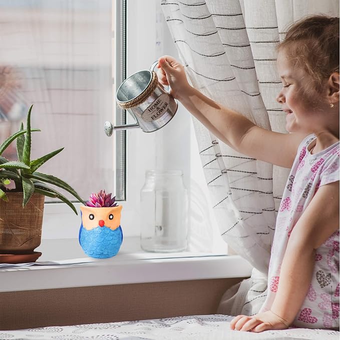 Winlyn 6 Sets DIY Ceramic Owl Succulent Pots Paint Craft Kit, Unpainted Ceramic - Image 4