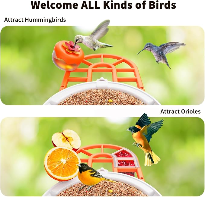 HARYMOR Bird Feeder with Camera | AI Identify Birds Species, Solar Powered - Image 4