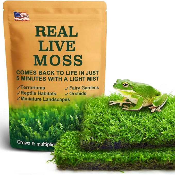 Live Moss Duo Pack 2 Types of Real Live Sheet/Sphagnum Moss by LUCKYRUNES