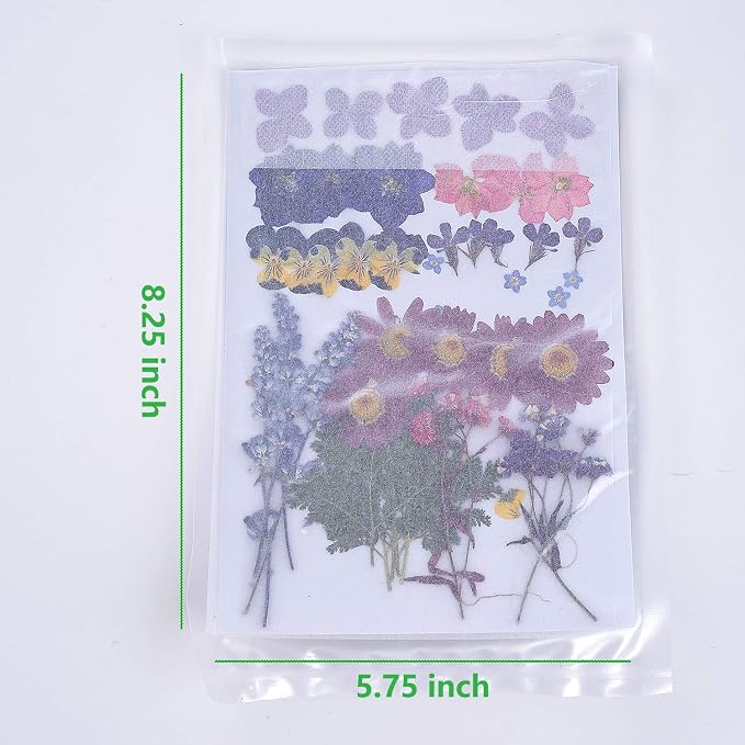 11 Types 46pcs Real Dried Pressed Flowers Leaf Plant Herbarium - Image 2