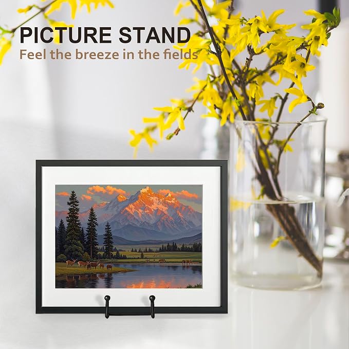 Hoewina Plate Stands for Display, 3 Pack 10 Inch Plate Holder Display Stands - Image 5