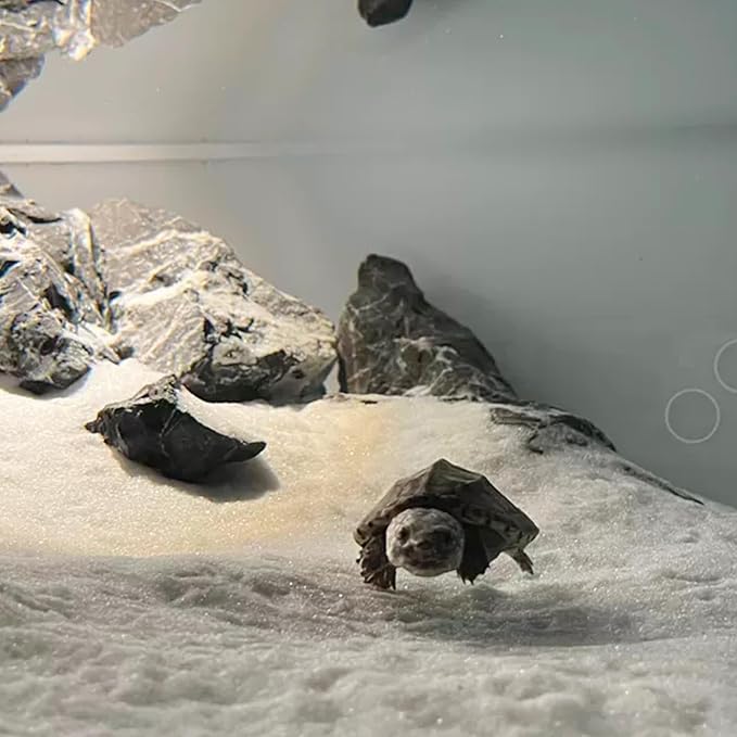 YISZM Aquarium Sand, 20lbs White Fish Tank Sand, Aquarium Gravel Substrate - Image 3