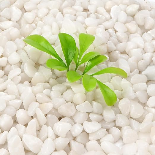 10 lb Natural Polished White Pebbles, 3/8 Inch Decorative White Rocks - Image 3