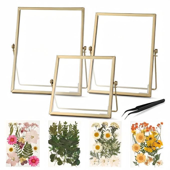Relaxing Garden Floating Double Glass Frame Set, 3 Sizes 6x6 6x8 7x9 by RlexingGarden%E2%80%98sDecor