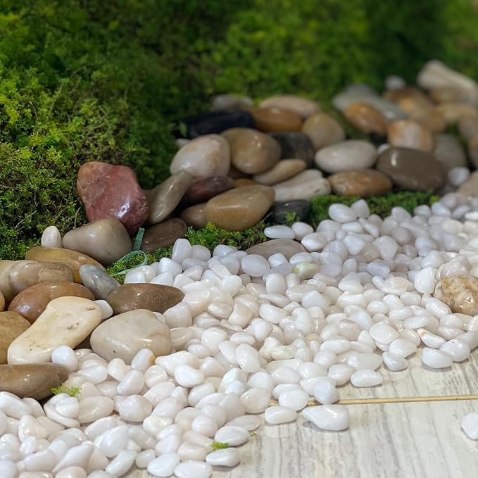 FANTIAN 10 lbs White Rocks for Landscaping, 1-2 Inch Small Pebbles for Indoor - Image 4