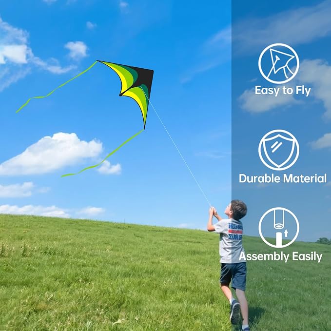 Large Single Line Beach Kite for Adults - Image 4