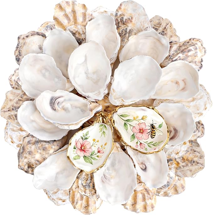 30Pcs 2-3 Inch Concave Small Oyster Shells by LAMIVORA
