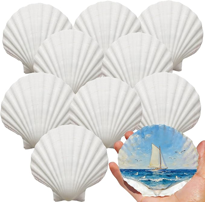 VMEECARL 10Pcs 4"-5" Large Scallop Shells by Unknown