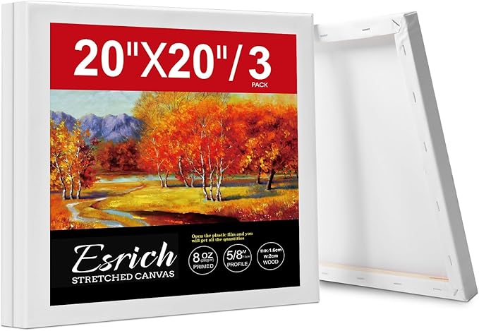 ESRICH 20x20 Stretched Canvas for Painting, 3 Pack Square Canvas for Painting by ESRICH