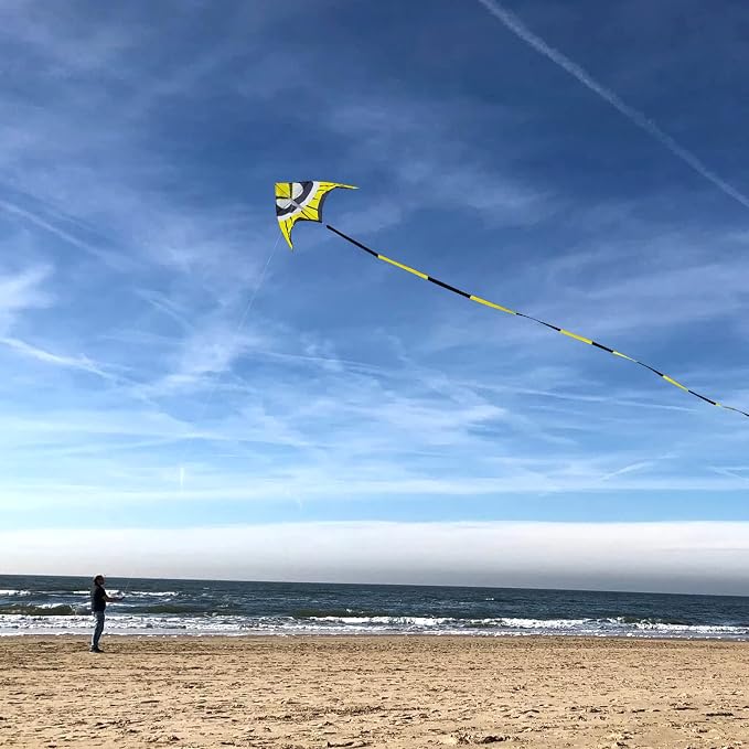 Large Single Line Beach Kite for Adults - Image 3