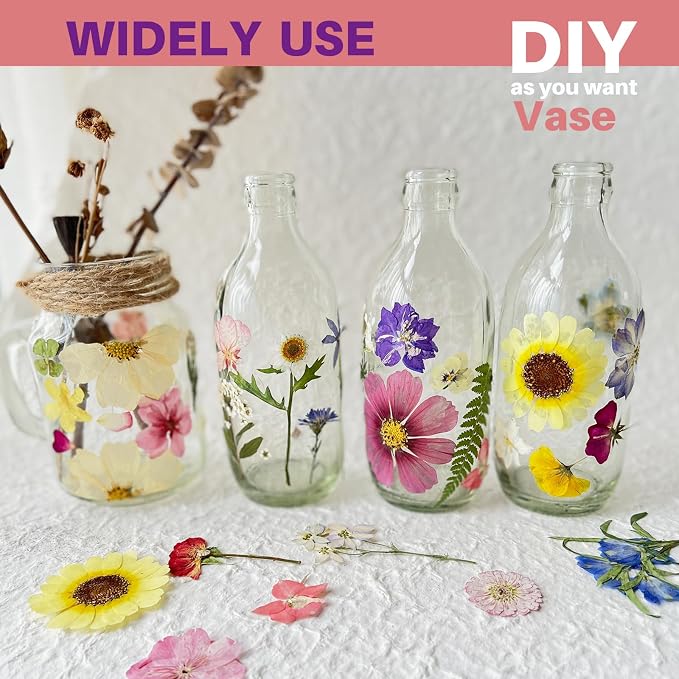 A4 Large Dried Pressed Flowers for Resin Pressed Flowers Real Dry Natural - Image 6