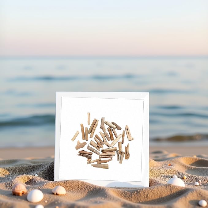 20 Pcs Wood Natural Driftwood Pieces Branch Slices Beach Decor - Image 3