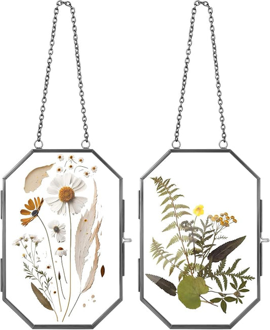 Qunclay 2 Pcs Double Glass Frame by Qunclay