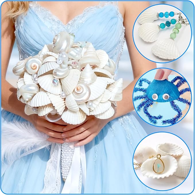 QEQEKAKA 60PCS Sea Shells for Crafts1.5''-2'' White Small Seashells Clam - Image 6