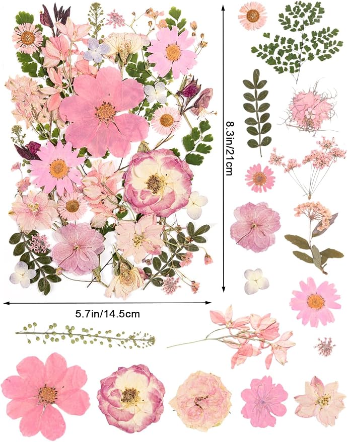 80pcs Pink Pressed Flowers Bulk, Romantic Dried Flower Leaves, Natural Pressed - Image 2