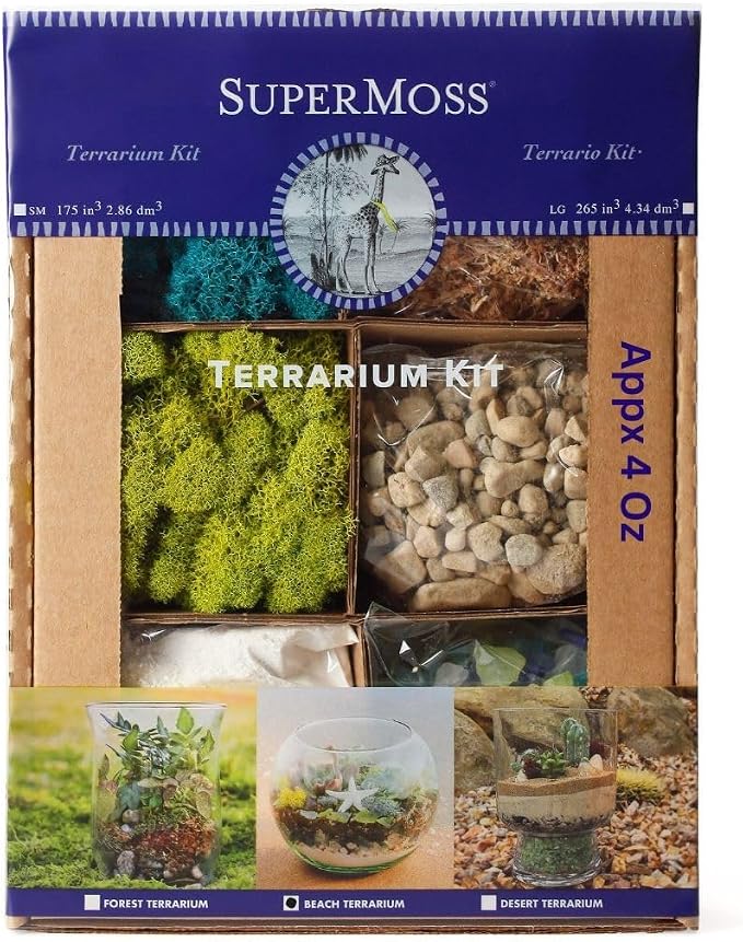 SuperMoss Beach Terrarium DIY Kit – Create Stunning Nature-Inspired Mini by SuperMoss