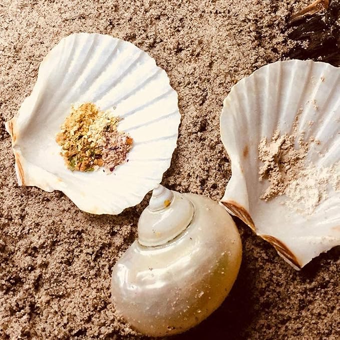 SEAJIAYI 6PCS Scallop Shells for Serving Food, Baking Shells Large Natural - Image 9