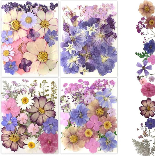 80Pcs Pressed Flowers, Dried Flowers Natural Pressed Flowers Bulk by Buzidao