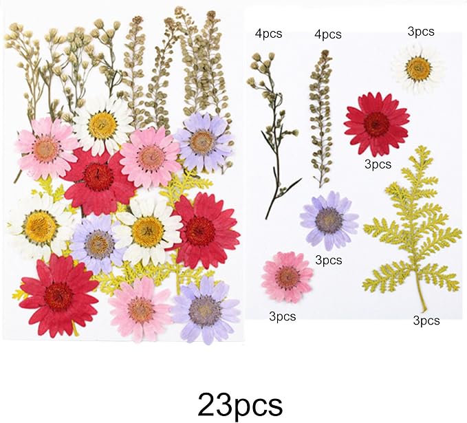 Woohome 91 PCS Natural Dried Pressed Flowers and Leaves - Image 5