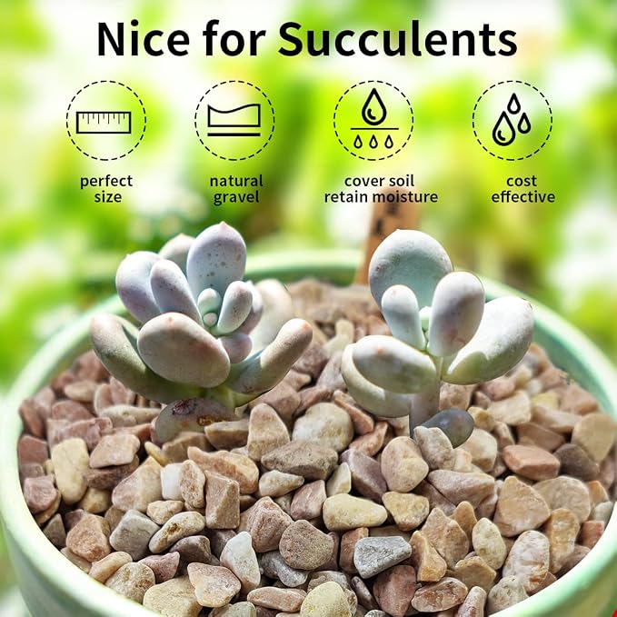 FANTIAN 10 LB Natural Pea Gravel Small Pebbles - Image 5