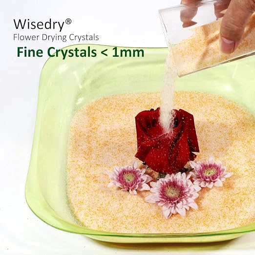 wisedry Silica Gel Crystal for Flowers Drying - Image 5