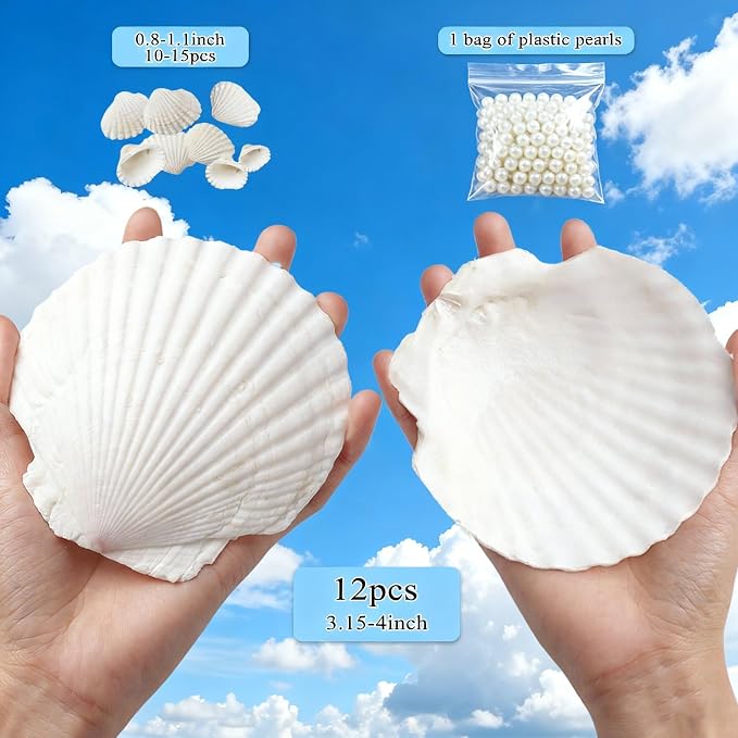 JSPYFITS 12PCS Large Natural Scallop Shells, DIY Painting, Baking and Beach - Image 2
