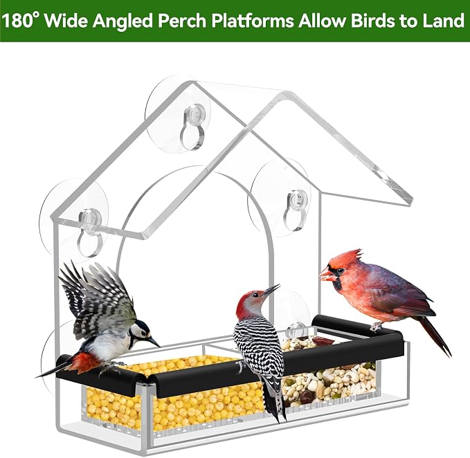 Clear Window Bird Feeder with 5 Extra Strong Suction Cups, DY-SKTY Sturdy and - Image 5