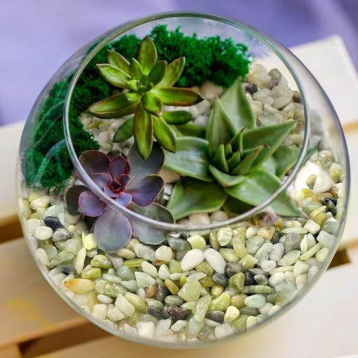 2.2 lb Jade Pebbles for Indoor Plants, 3/8 Inch Polished Decorative Pebbles for - Image 3