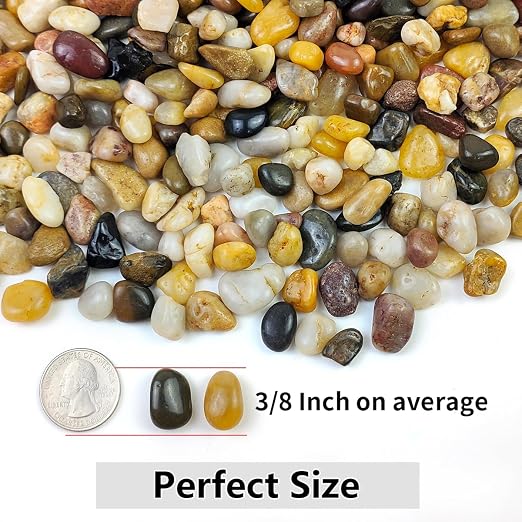 YISZM 5LB Succulent and Cactus Gravel Pebbles, 3/8 Inch Decorative Polished - Image 4