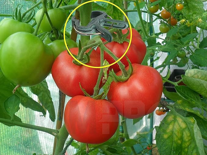 Plant Clips Green Gentle Gardening Plant & Flower Lever Loop Gripper Clips - Image 3