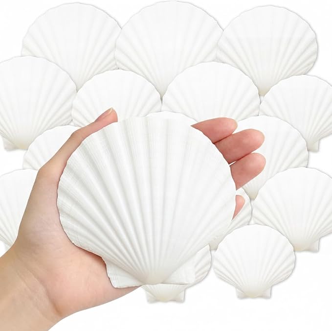 denking 30 PCS Large Scallop Shells 4-5 inch Natural White Seashells by Unknown