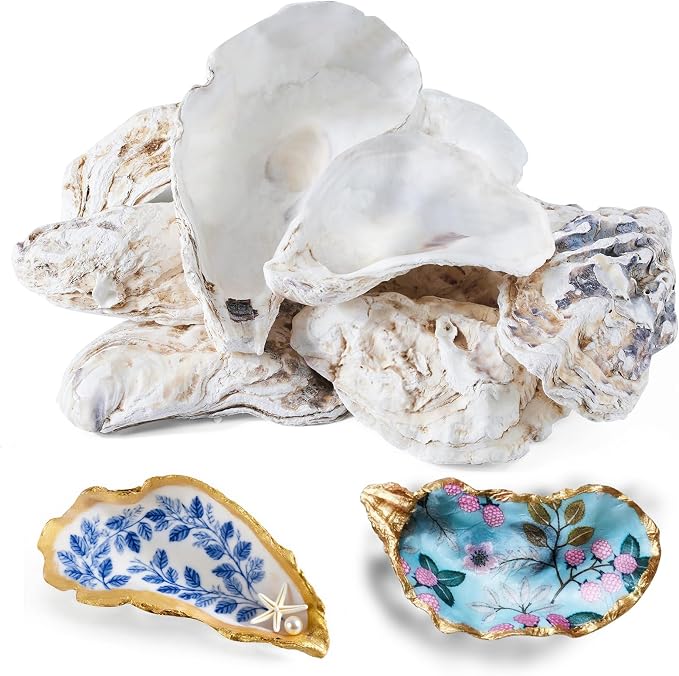 12 Pcs Natural Oyster Shells for Crafts, 5-6 inch Extra Large Seashells for by Unknown