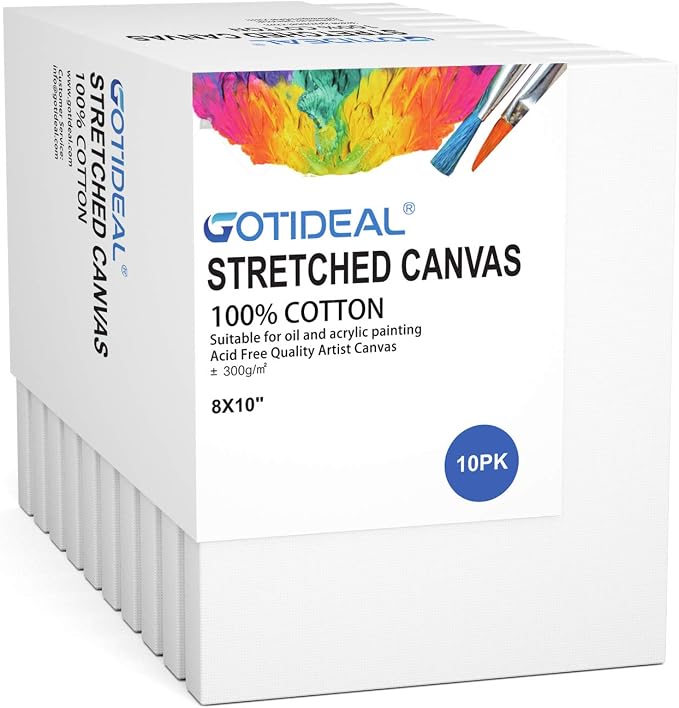 GOTIDEAL Stretched Canvas, 8x10 Inch Set of 10, Primed White by GOTIDEAL