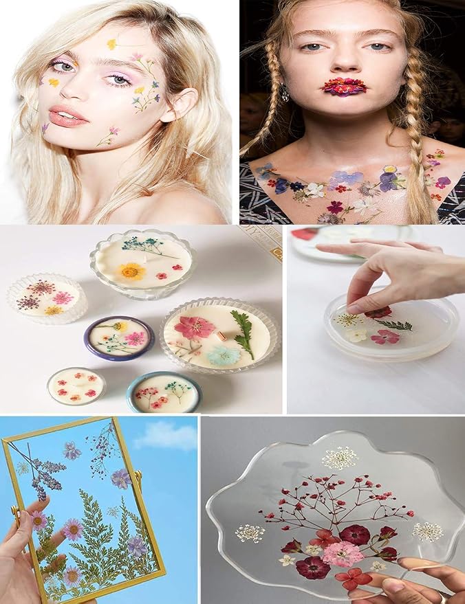 150PCS Yellow Dried Pressed Flowers - Image 5