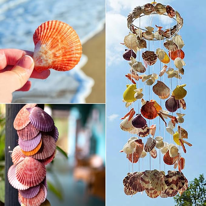 30 PCS+ Scallop Shells Natural Seashell, 1.5"-2.5" Colorful Scallop Shells - Image 7