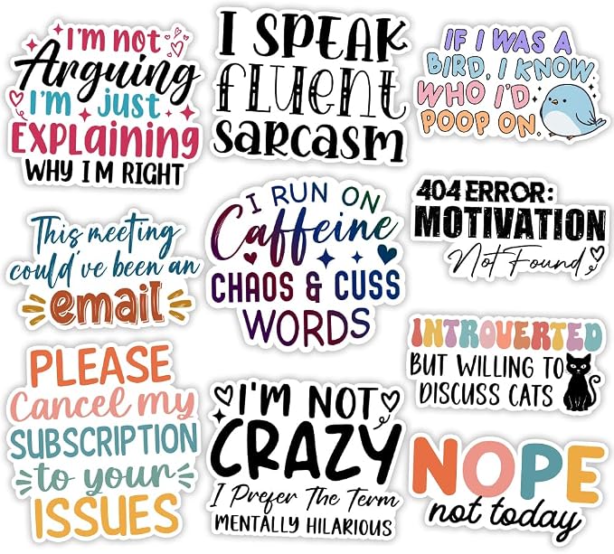 MAIANEY | Funny Sarcastic Sticker Pack – 10PCS 3 Inch Vinyl Waterproof Decals by Maianey