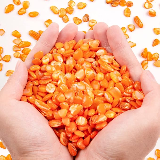 QICQDRAM Crushed Shells for Crafts About 1LB Small Natural Crushed Shells Bulk by QICQDRAM