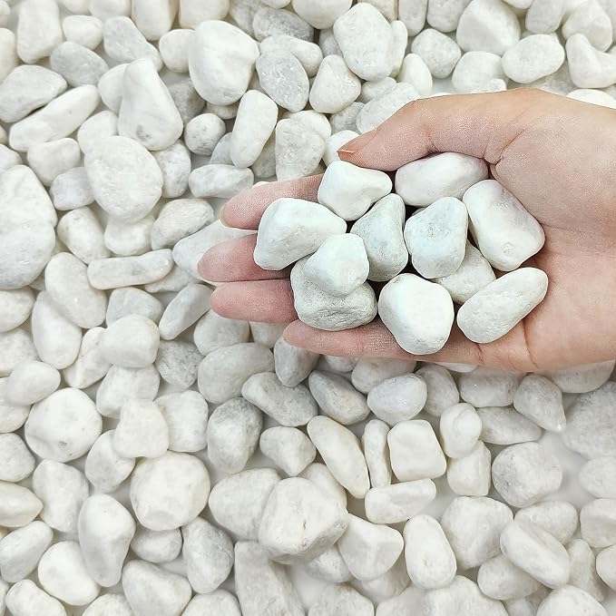 FANTIAN 5 lbs White Pebbles for Indoor Plants, 0.5-1 Inch Pea Gravel Stones for by FANTIAN-GardeningMakesLifeBetter