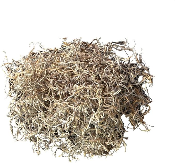 Mosser Lee Spanish Moss – Natural Decorative Moss - Image 2