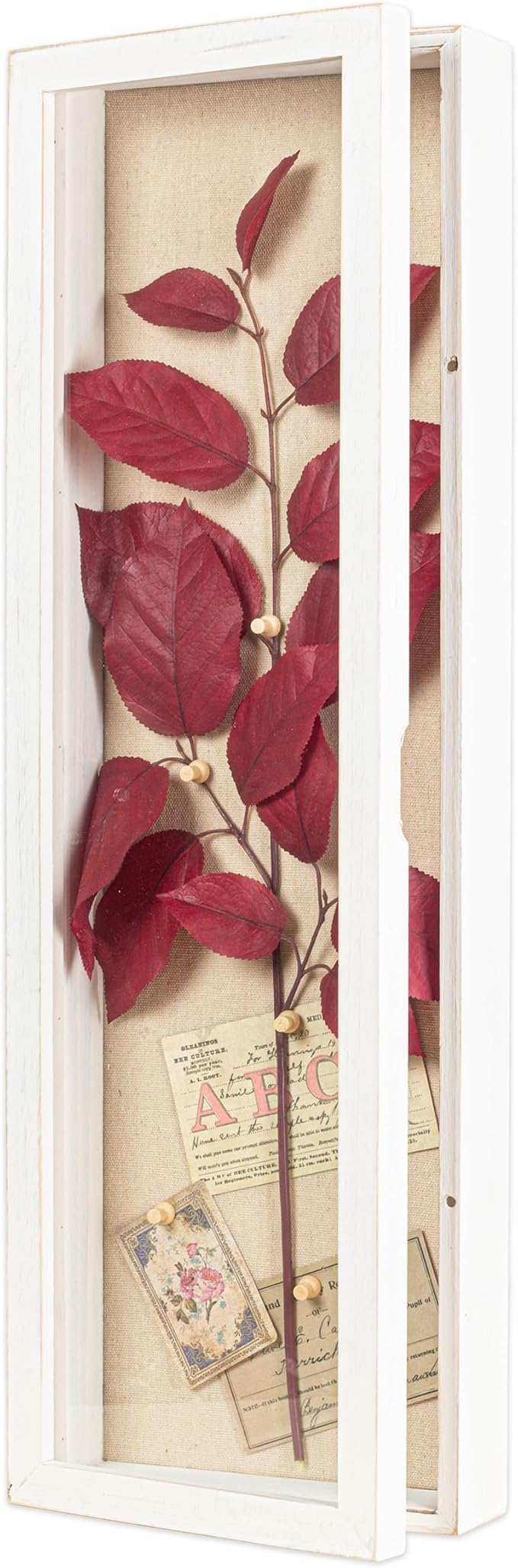 Freezing point Shadow Box Frame 8x25 Flower Shadow Box Pin Display Case Cabinet by Freezingpoint