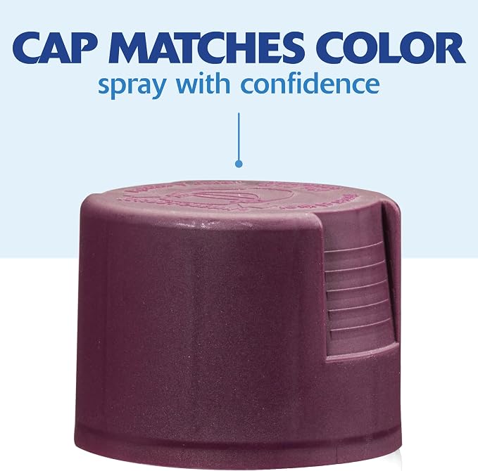 Rust-Oleum Painter's Touch 2X Ultra Cover Spray Paint, Satin Aubergine - Image 7