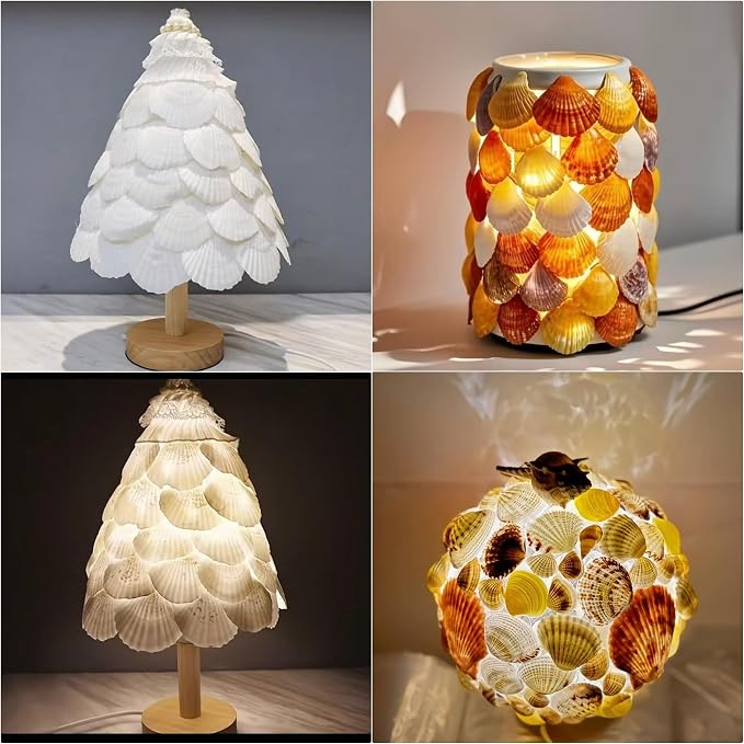 JSPYFITS 12PCS Large Natural Scallop Shells, DIY Painting, Baking and Beach - Image 8