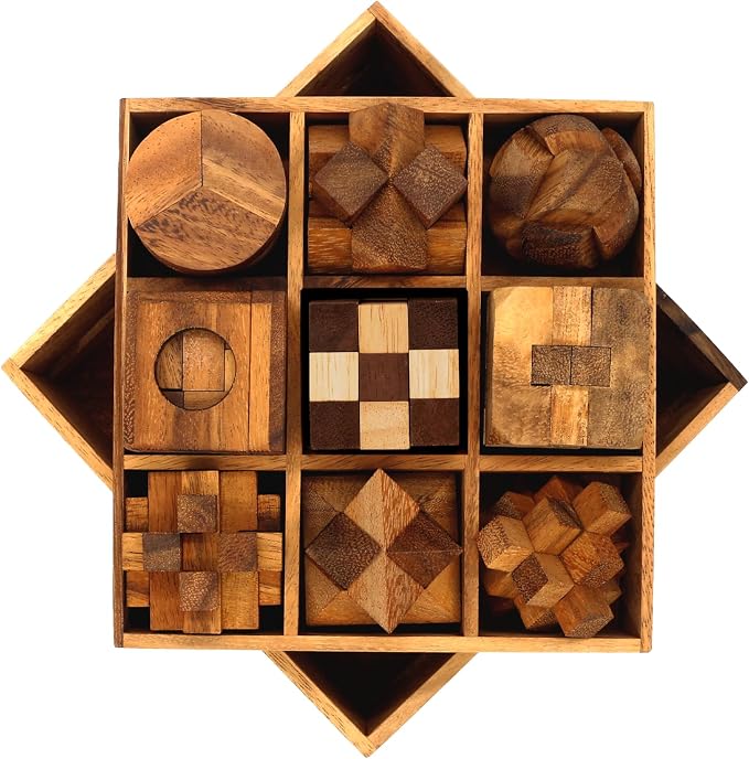 BSIRI 9 in 1 Wooden Brain Teaser Puzzles - Image 2