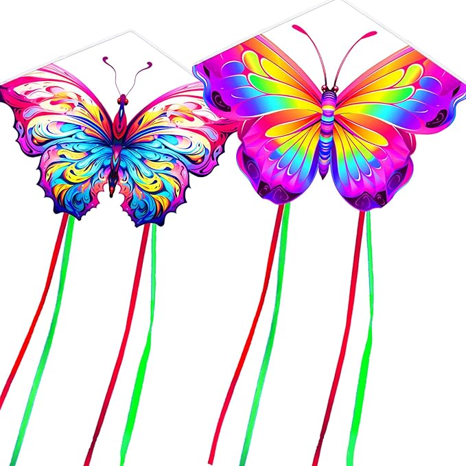 HENGDA KITE 2 Pack Butterfly Kite, by HENGDAKITE