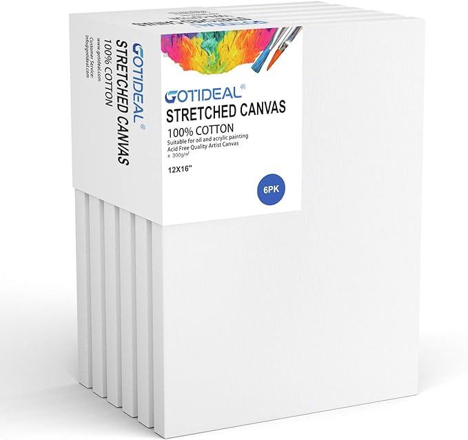 GOTIDEAL Stretched Canvas, 12x16 Inch Set of 6, Primed White by GOTIDEAL