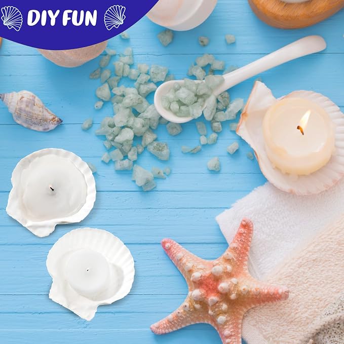 GlikCeil 50 Pcs Sea Shell for Crafting Natural Large Scallop White Oyster - Image 3