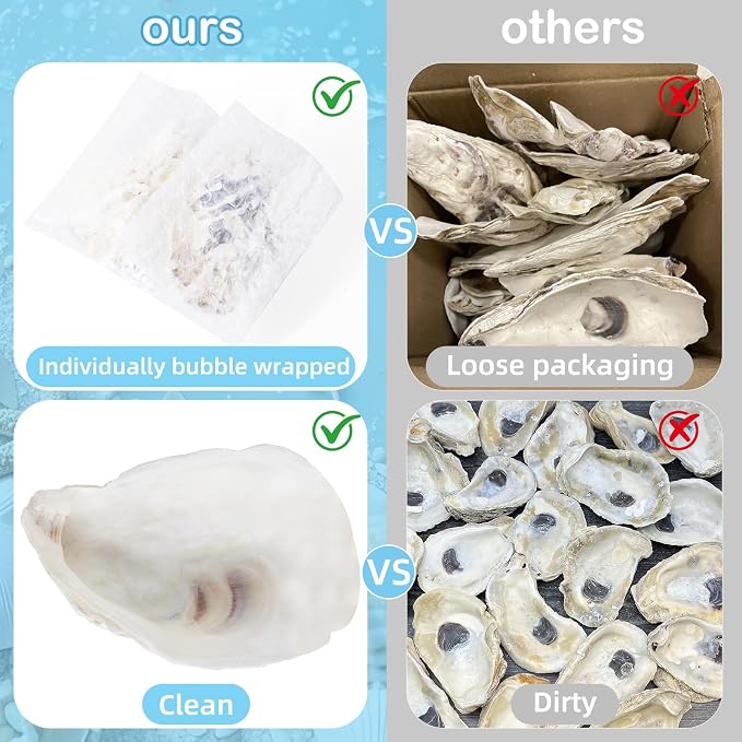 12 Pcs Natural Oyster Shells for Crafts, 5-6 inch Extra Large Seashells for - Image 3