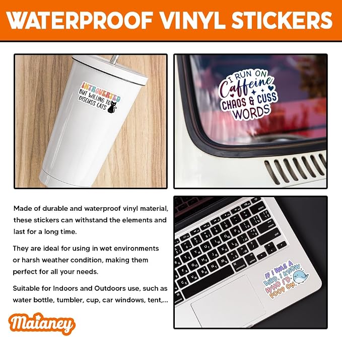 MAIANEY | Funny Sarcastic Sticker Pack – 10PCS 3 Inch Vinyl Waterproof Decals - Image 3